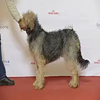A photograph of the Barak