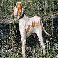 A photograph of the Ca Mè Mallorquí