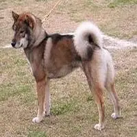 A photograph of the Shikoku