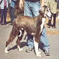 A photograph of the Taigan