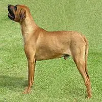 A photograph of the Tosa