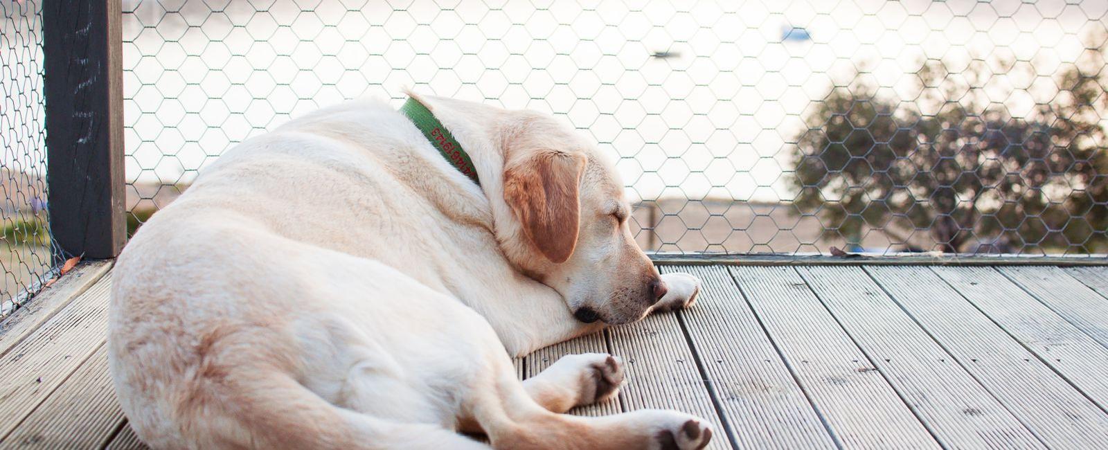 How to Stay Grounded in Single Parent Dating and Relationships - Featured Image