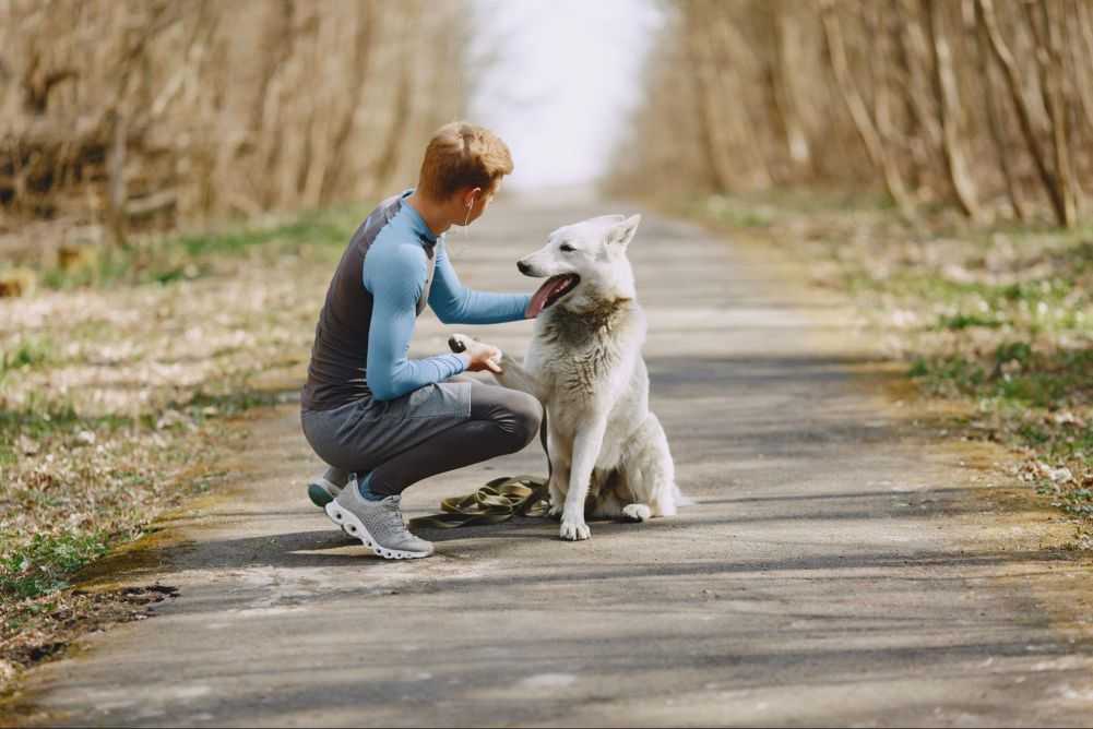 Why Do Dogs Push You Away When You Pet Them? Woof & Beyond