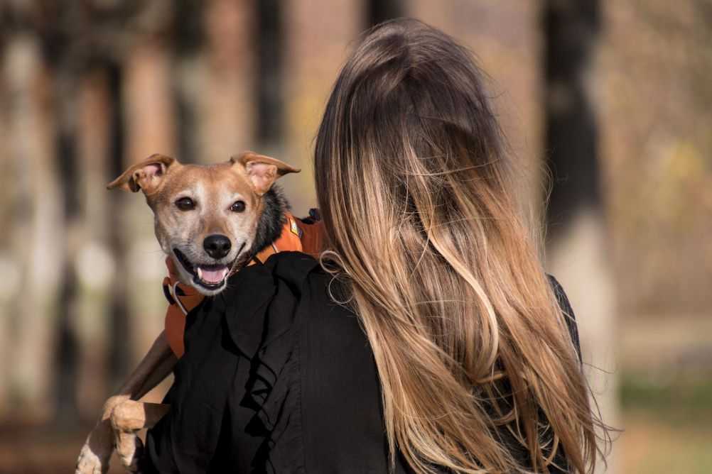 Your Boyfriend Is Jealous of Your Dog? Here's Why Woof & Beyond