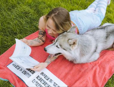 The Intelligent Canine: How Many Total Words Can a Dog Learn?