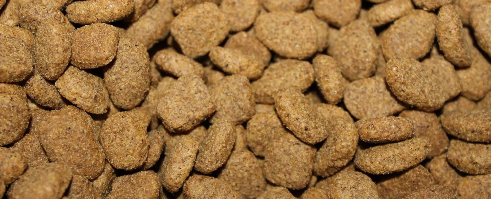 How Many Cups Are in a Pound of Dog Food? | Woof & Beyond