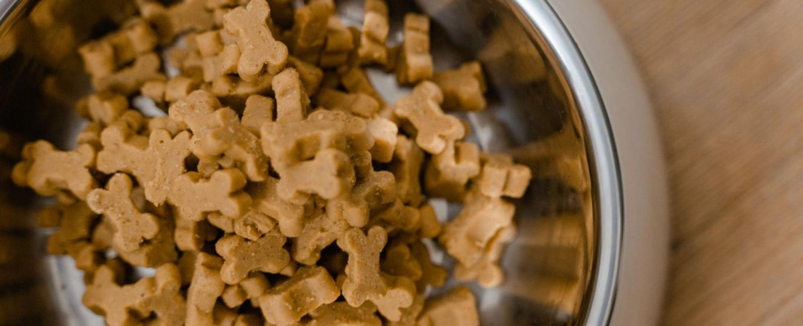Opened Dog Food Can You Donate It? Woof & Beyond