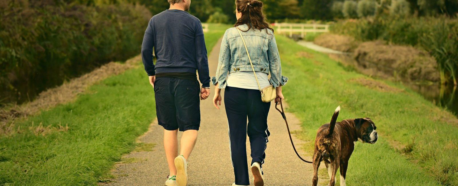 How to Quickly Get Your Dog to Poop Outside Woof & Beyond