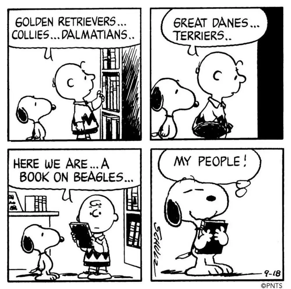 Snoopy was handed a book about beagles and claimed: “My people!”. Credit to Charles M. Schulz Museum @ Facebook